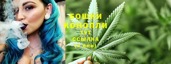 гидра Алзамай
